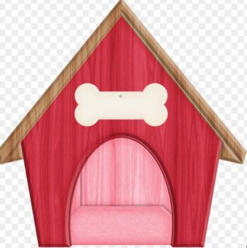 Foster Homes Needed